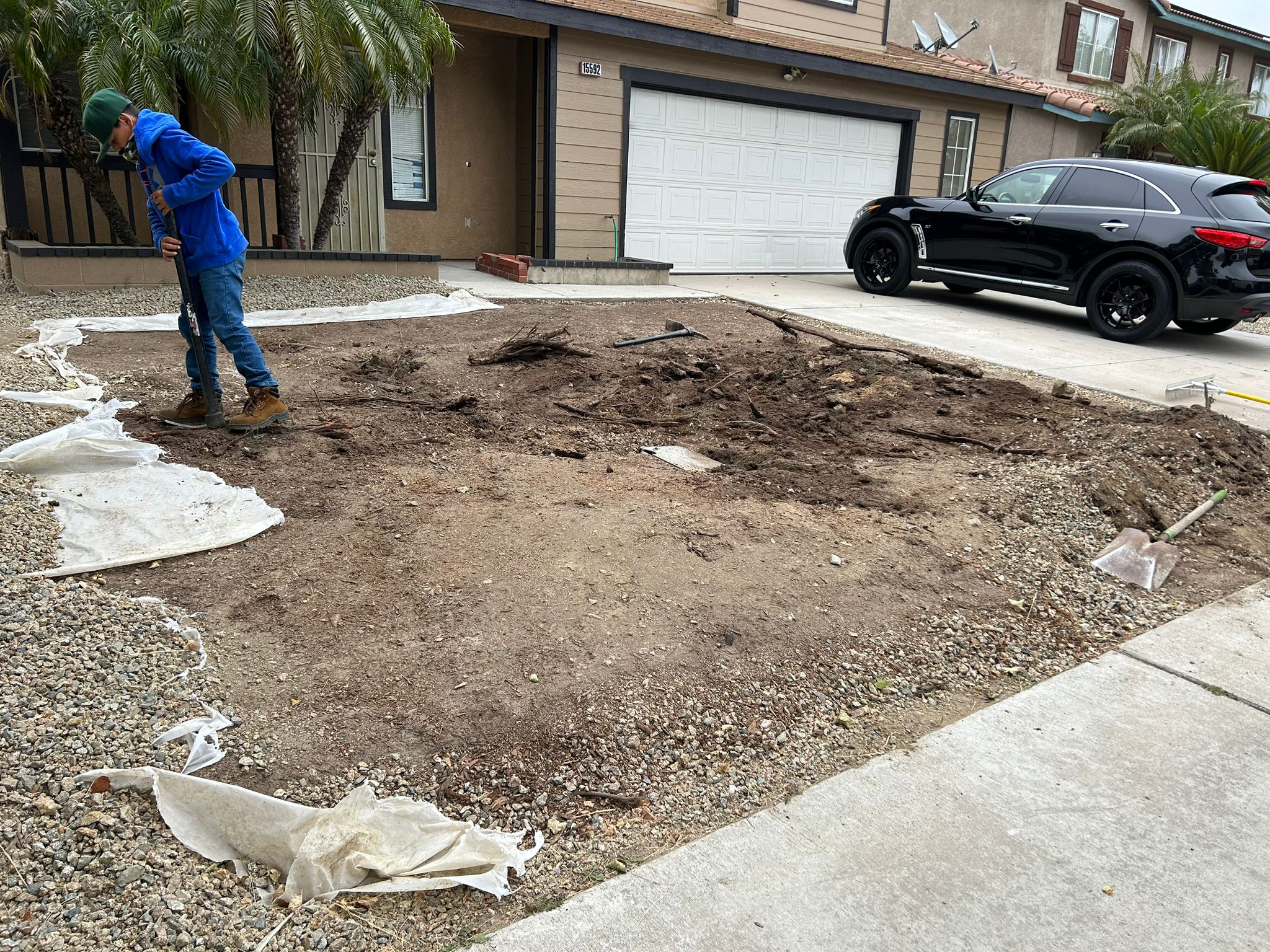 Marco Tree Service Image